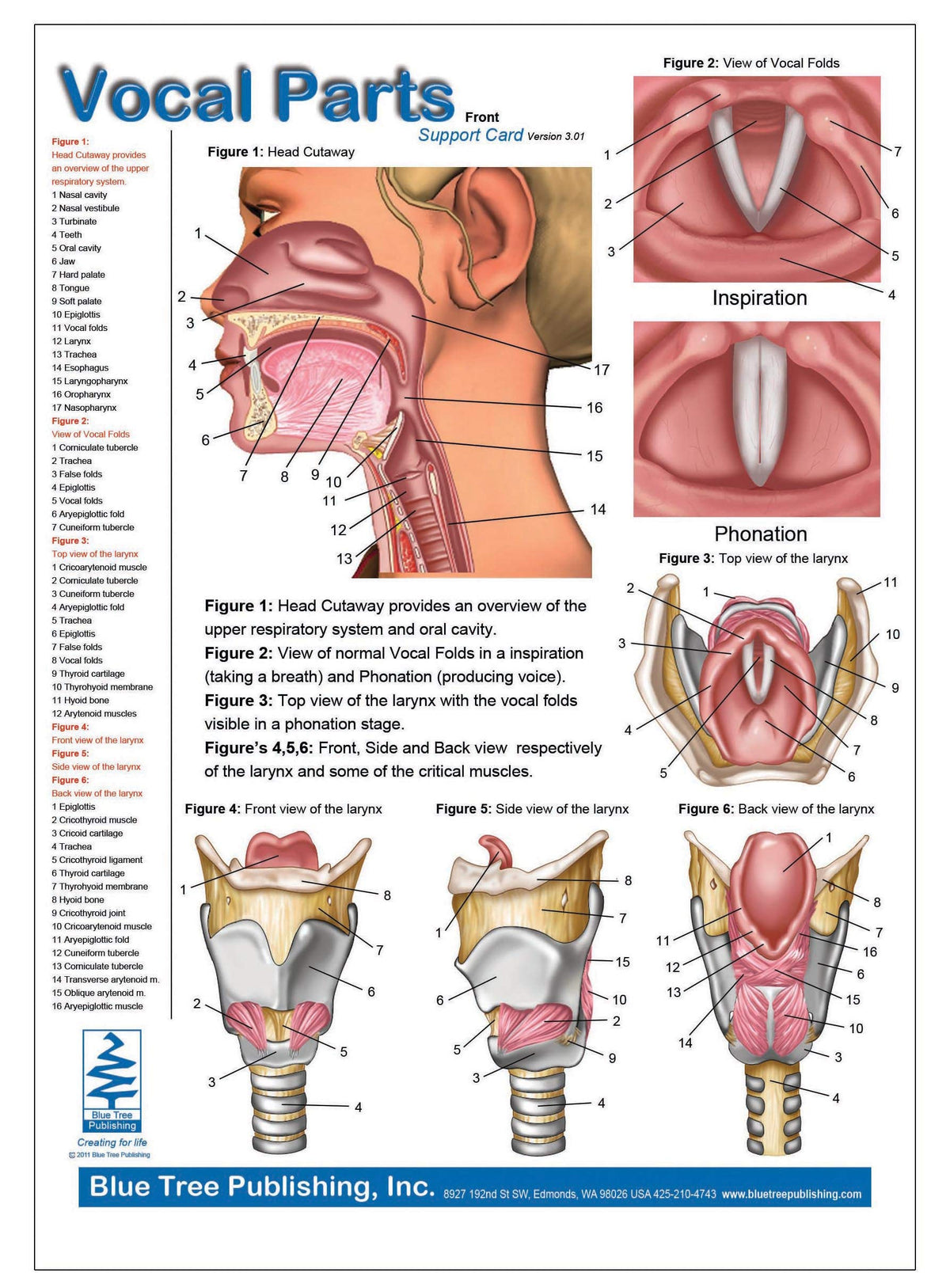 Vocal Parts (Card)