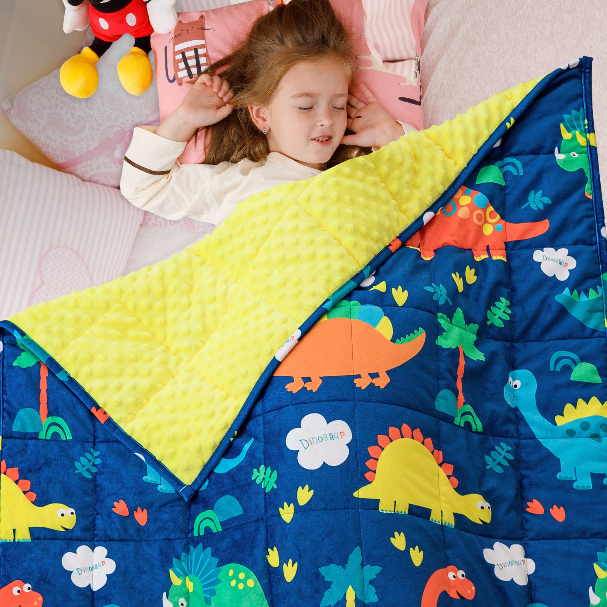 Sivio Toddler Weighted Blanket 3 Lbs, Super Soft Crystal Velvet & Minky Dots Cartoon Patterns Reverise Heavy Throw, Childrens He