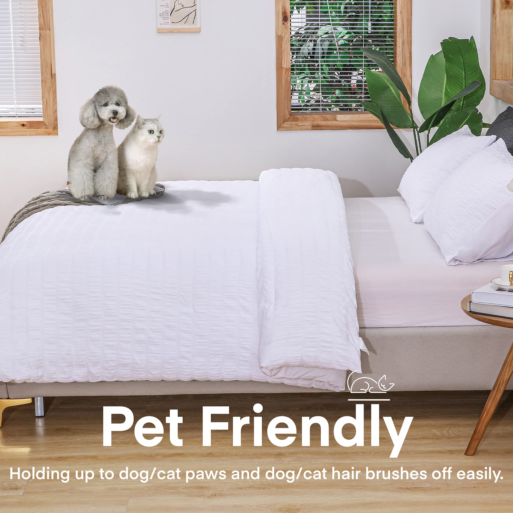 Avelom Seersucker Comforter Set - Full Size, 80X90 Inches, White, 3 Pieces, Unisex