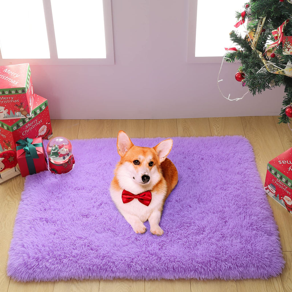 Merelax Modern Soft Fluffy Small Shaggy Rug For Bedroom Livingroom Dorm Kids Room Indoor Home Decorative, Non-Slip Plush Furry F