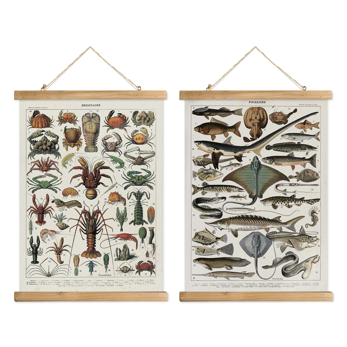 XIAOAIKA Set of 2 Vintage Marine Life and Crustaceans Wall Art Posters - Nautical Ocean Creatures & Seafood Illustration Prints 