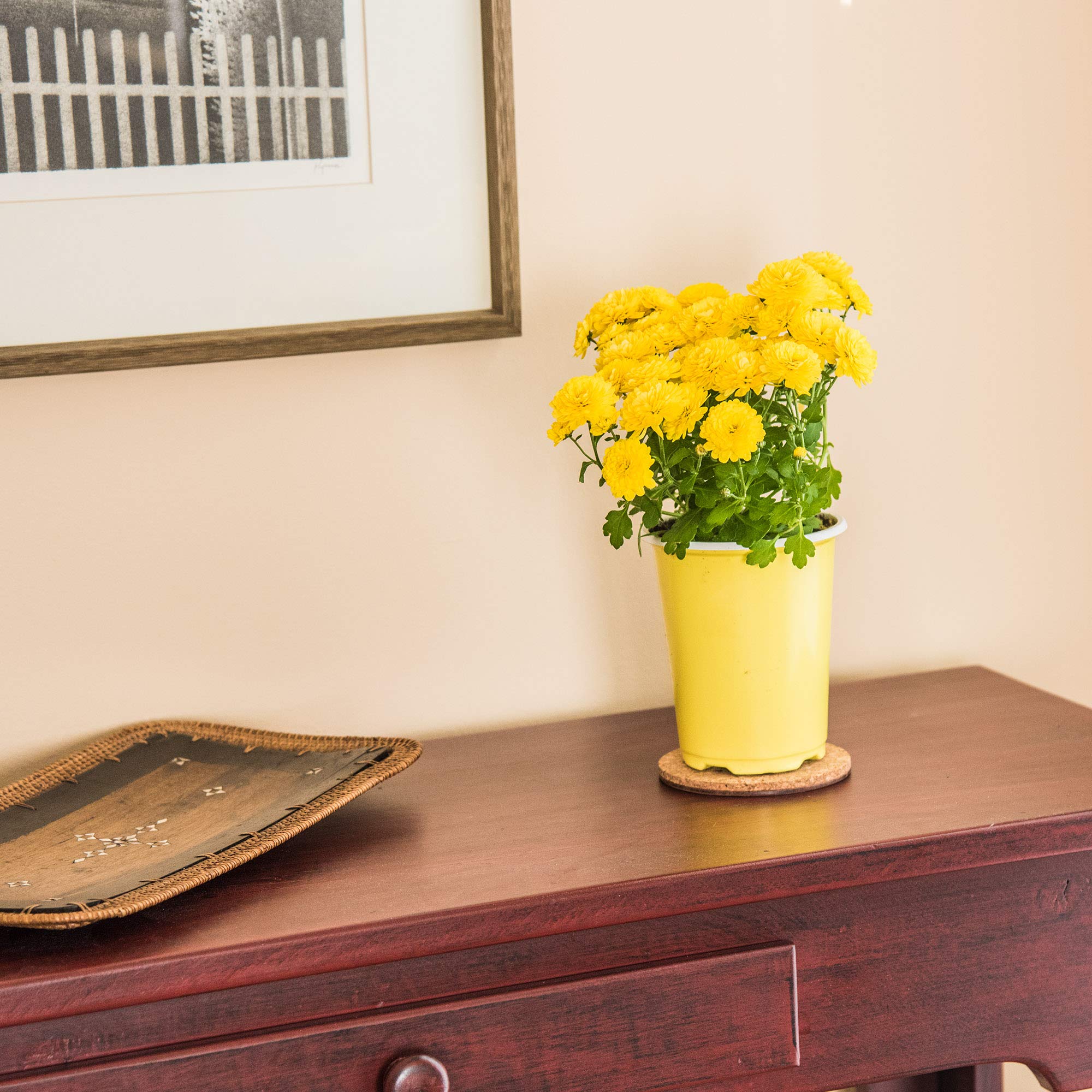 Gardener'S Blue Ribbon 4 Inch Cork Mat Cm4