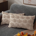 Dfxsz Fall Pillow Covers 12X20 Set Of 2 Fall Decorations Autumn Beige Pumpkin Throw Pillow Cases Soft Plush Faux Fur Wool Couch