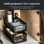Madesmart 2-Tier Organizer Multi-Purpose Slide-Out Storage With Handles And Dividers For Home And Bath, Bpa Free, Pack Of 1, Car