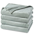 Phf Ultra Soft Fleece Blanket Twin Size, No Shed No Pilling Luxury Plush Cozy 300Gsm Lightweight Blanket For Bed, Couch, Chair, Sofa Suitable For All Season, 66' X 90', Sage Green