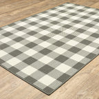 HomeRoots Grey Polypropylene 4’x6’ Gray and Ivory Gingham Indoor Outdoor Area Rug