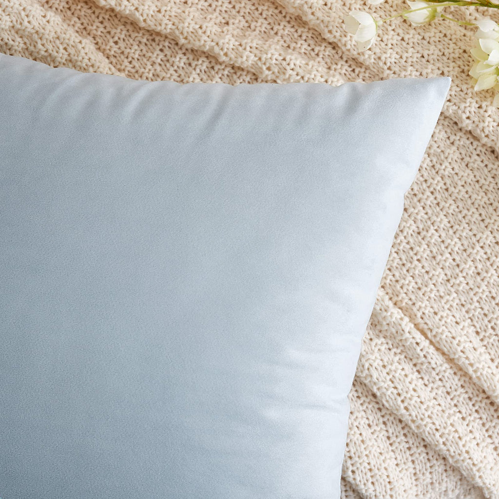 Emema Pack Of 2 Velvet Pillow Covers Decorative Square Pillowcase Soft Solid Cushion Case For Sofa Bedroom Car 20X20 Inch Baby B