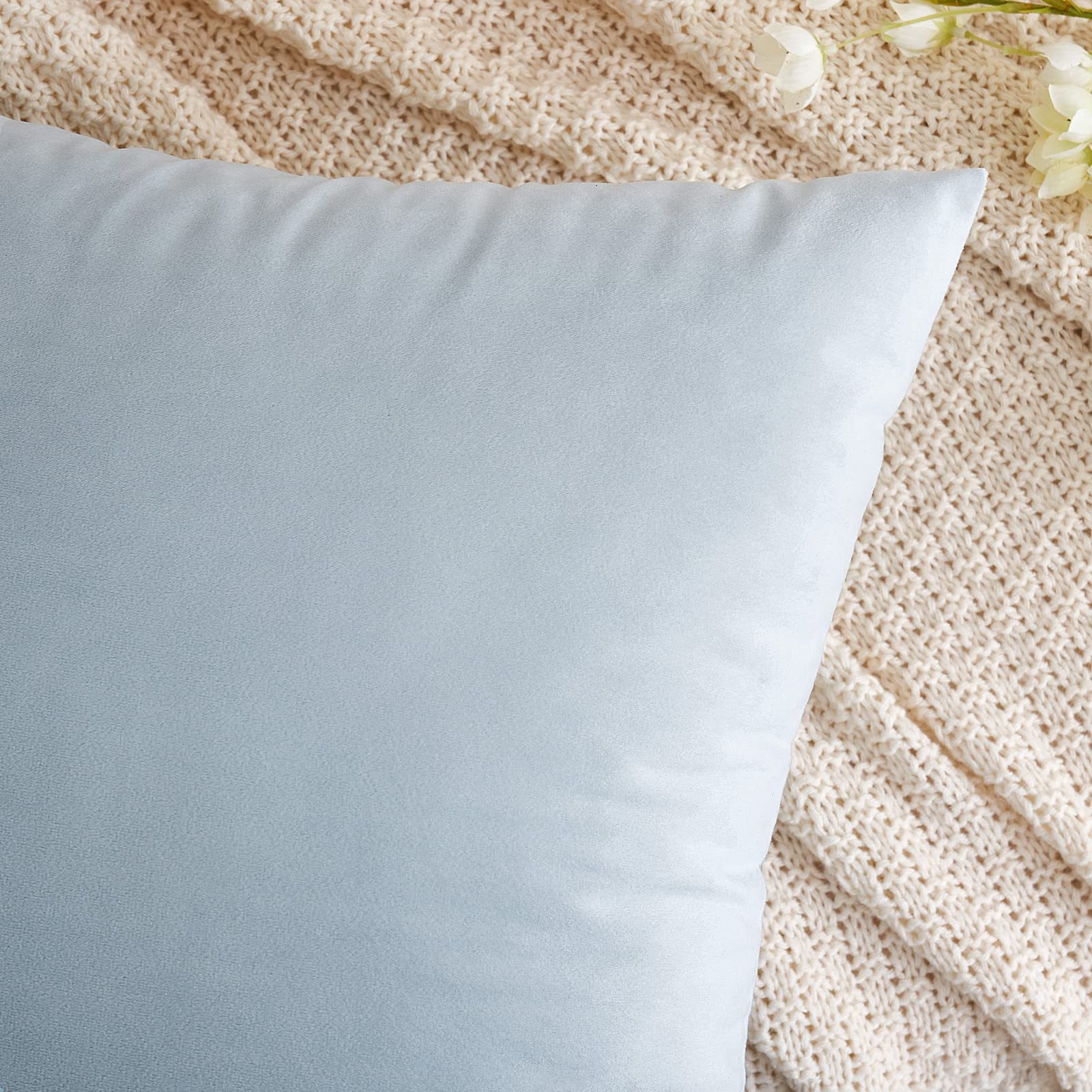 Emema Pack Of 2 Velvet Pillow Covers Decorative Square Pillowcase Soft Solid Cushion Case For Sofa Bedroom Car 20X20 Inch Baby B