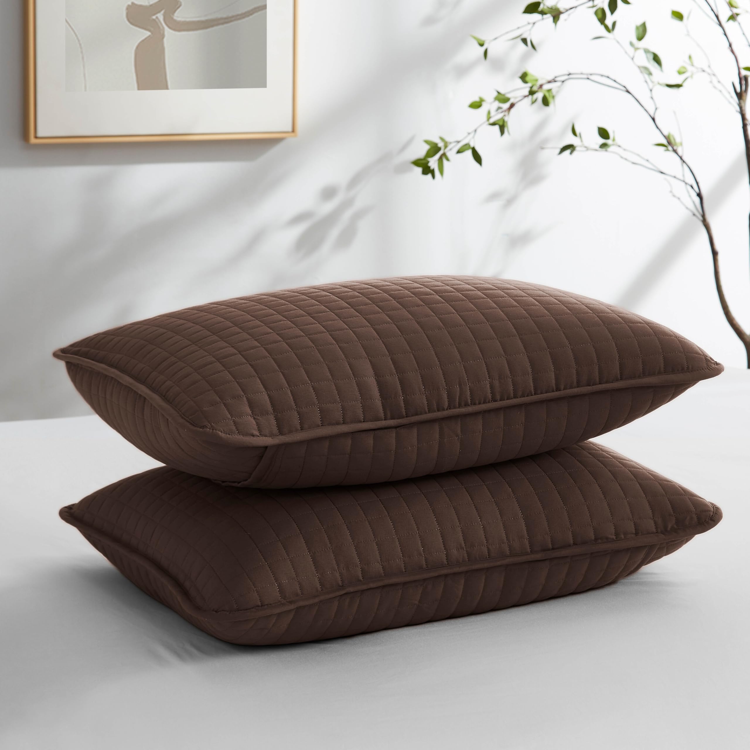 Southshore Fine Linens - Vilano Springs - Pair Of Quilted Pillow Sham Covers (No Inserts), 22' X 22', Chocolate Brown