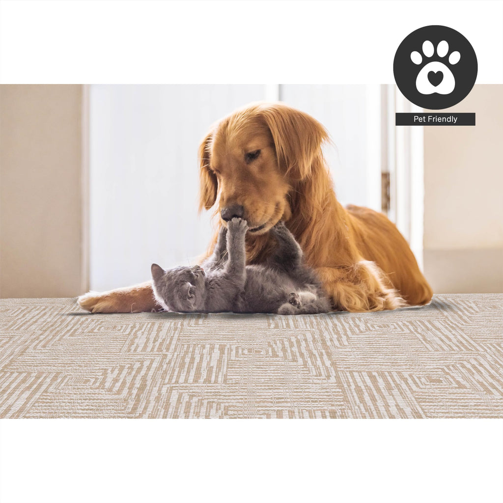 Fh Home Flat Woven Outdoor Rug - Waterproof, Easy To Clean, Stain Resistant - Premium Polypropylene Yarn - Modern Geometric - Pa