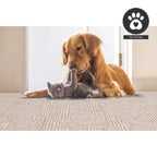 Fh Home Flat Woven Outdoor Rug - Waterproof, Easy To Clean, Stain Resistant - Premium Polypropylene Yarn - Modern Geometric - Pa