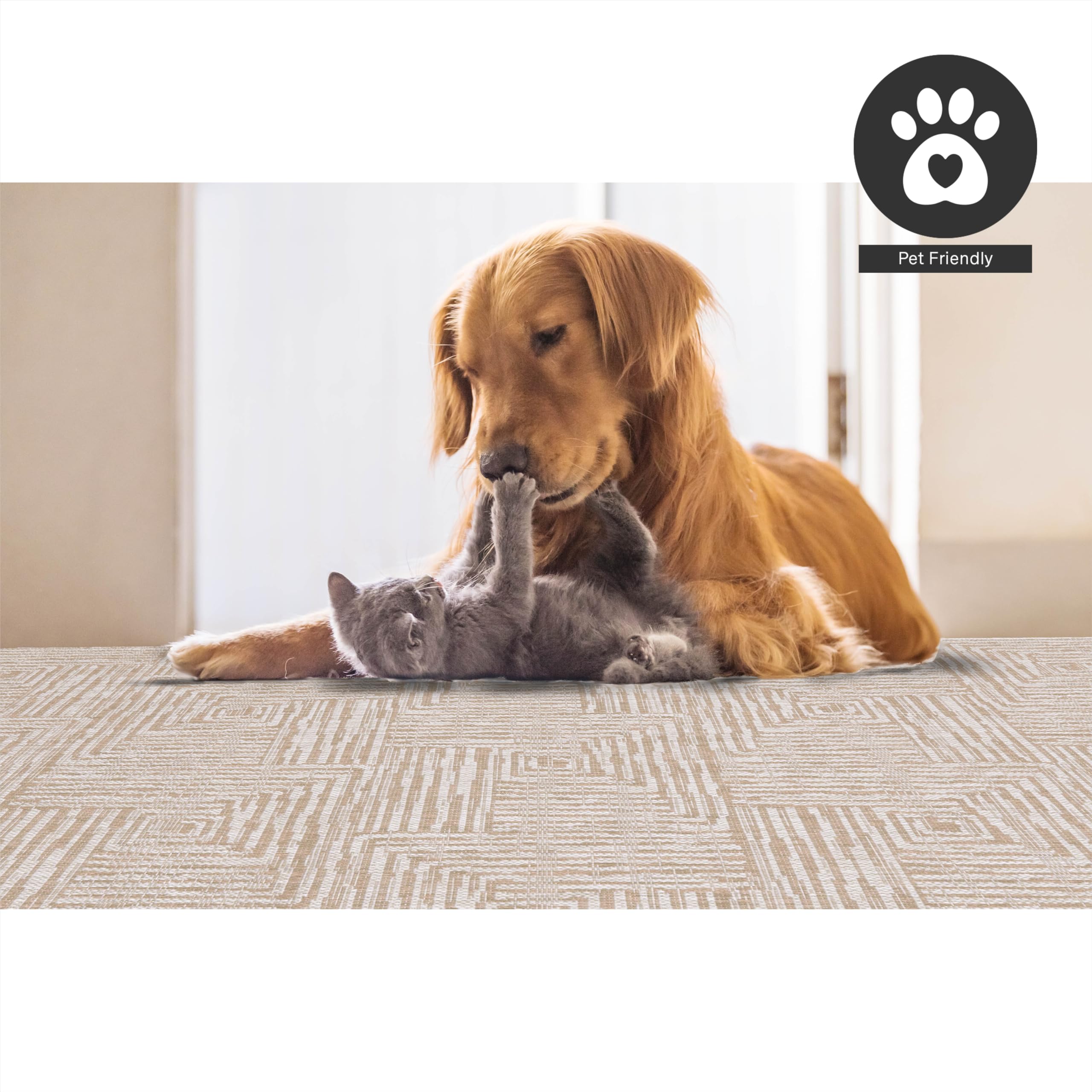 Fh Home Flat Woven Outdoor Rug - Waterproof, Easy To Clean, Stain Resistant - Premium Polypropylene Yarn - Modern Geometric - Pa