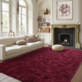 FinRec Soft Red Rugs for Bedroom Living Room, 4x6 Feet Modern Indoor Fuzzy Shaggy Area Rug, Non-Slip Fluffy Furry Rug for Nurse