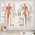 Batmerry Skeleton Tapestry, Body Human Skeleton Anatomy Backbone Biology Board Bone Picnic Mat Hippie Trippy Tapestry Wall Art D