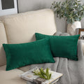 Phantoscope Pack Of 2 Velvet Decorative Throw Decorative Pillow Cover Soft Solid Square Cushion Case For Couch Christmas Green 1