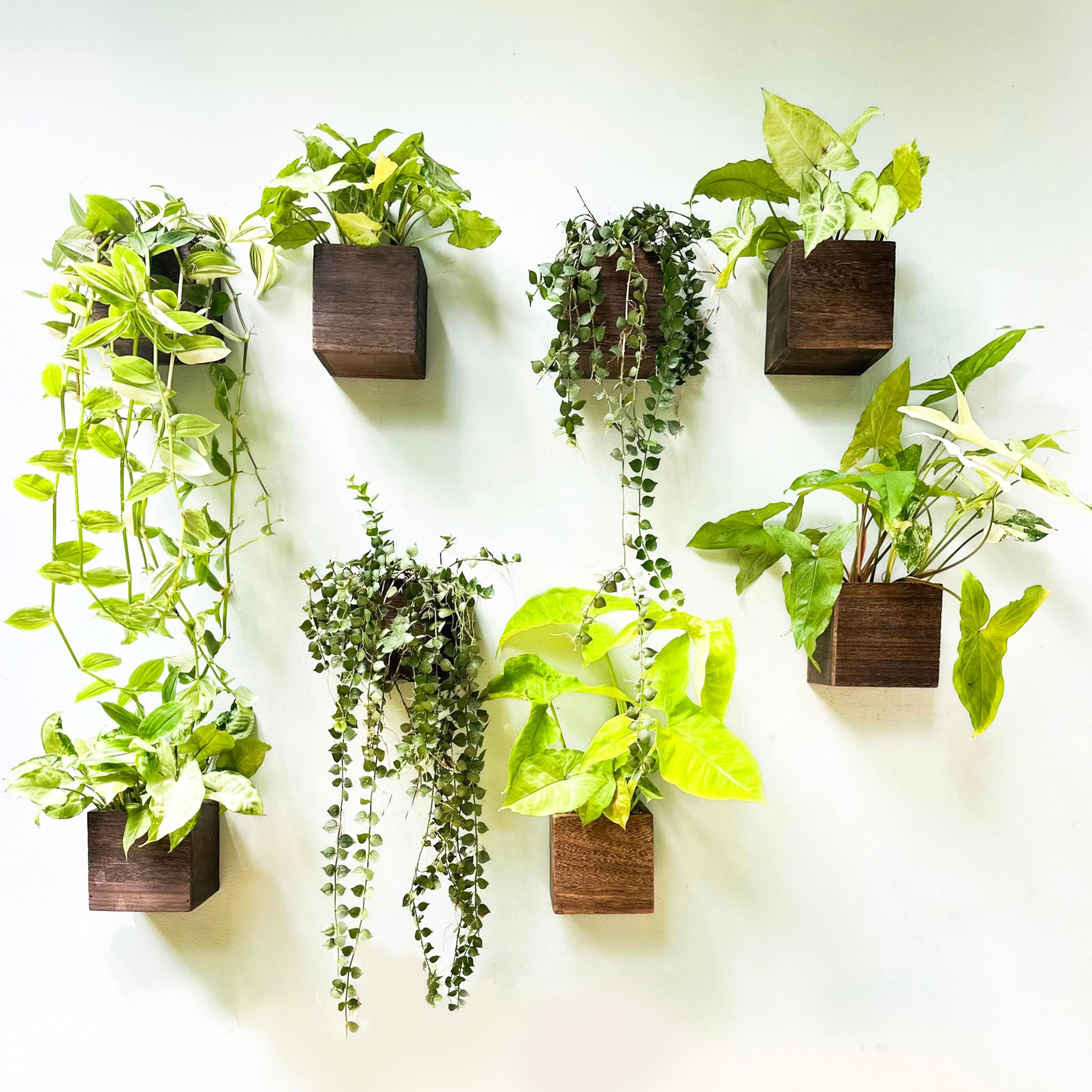 Lalagreen Wood Planter Boxes For Plants (8 Pack, 4X4 Inch) Small Square Wall Mounted Planters For Indoor Plant, Herb Wooden Box