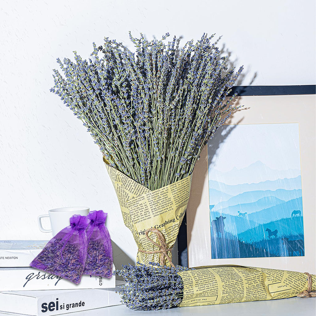 Bnecnet Dried Lavender Bundles Sachets | 2 Bundles of 200 Stem & 2 Dried Lavender Sachets | Natural Dried Lavender Flowers Bouqu
