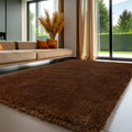 Sour Lemon Area Rugs 9x12 Living Room, Large Area Rug Shag Shaggy Carpet Soft Plush Furry Bedside Rug, Machine Washable Area Rug