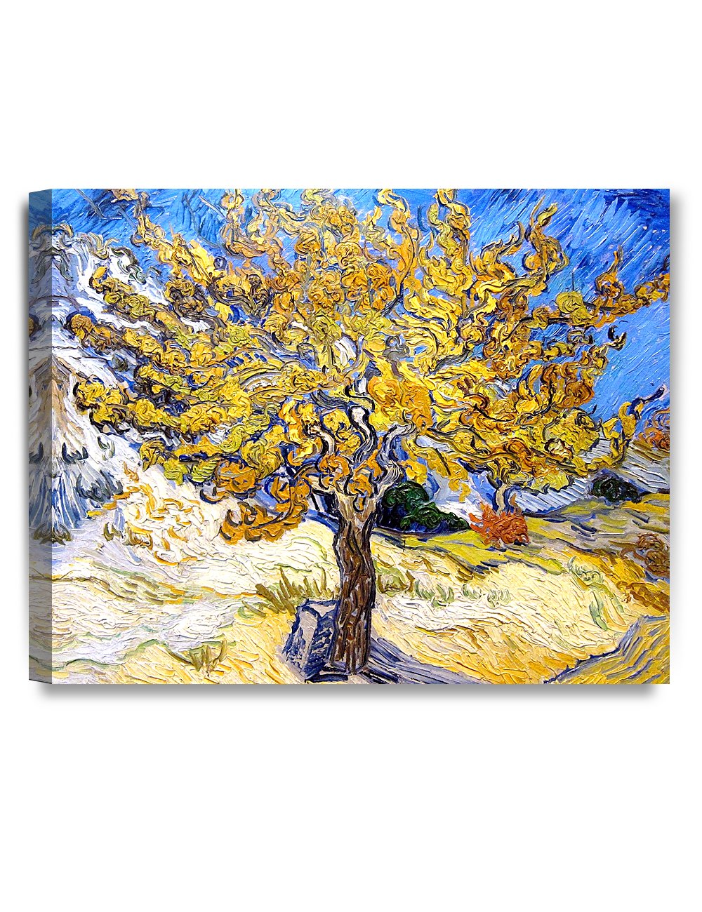 DECORARTS - The Mulberry Tree, Vincent Van Gogh Art Reproduction. Giclee Canvas Prints Wall Art for Home Decor 20x16, Depth 1.5