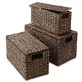 Casafield Set of 3 Water Hyacinth Storage Baskets with Lids, Espresso - Small, Medium, Large Woven Nesting Bins for Bathroom, Be