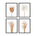 HAUS AND HUES Brown Plant Set of 4-11x14