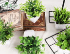 Der Rose 6 Pack Small Fake Plants Artificial Plants In Pots For Home Bthroom Bedroom Living Room Decor Indoor(Green)