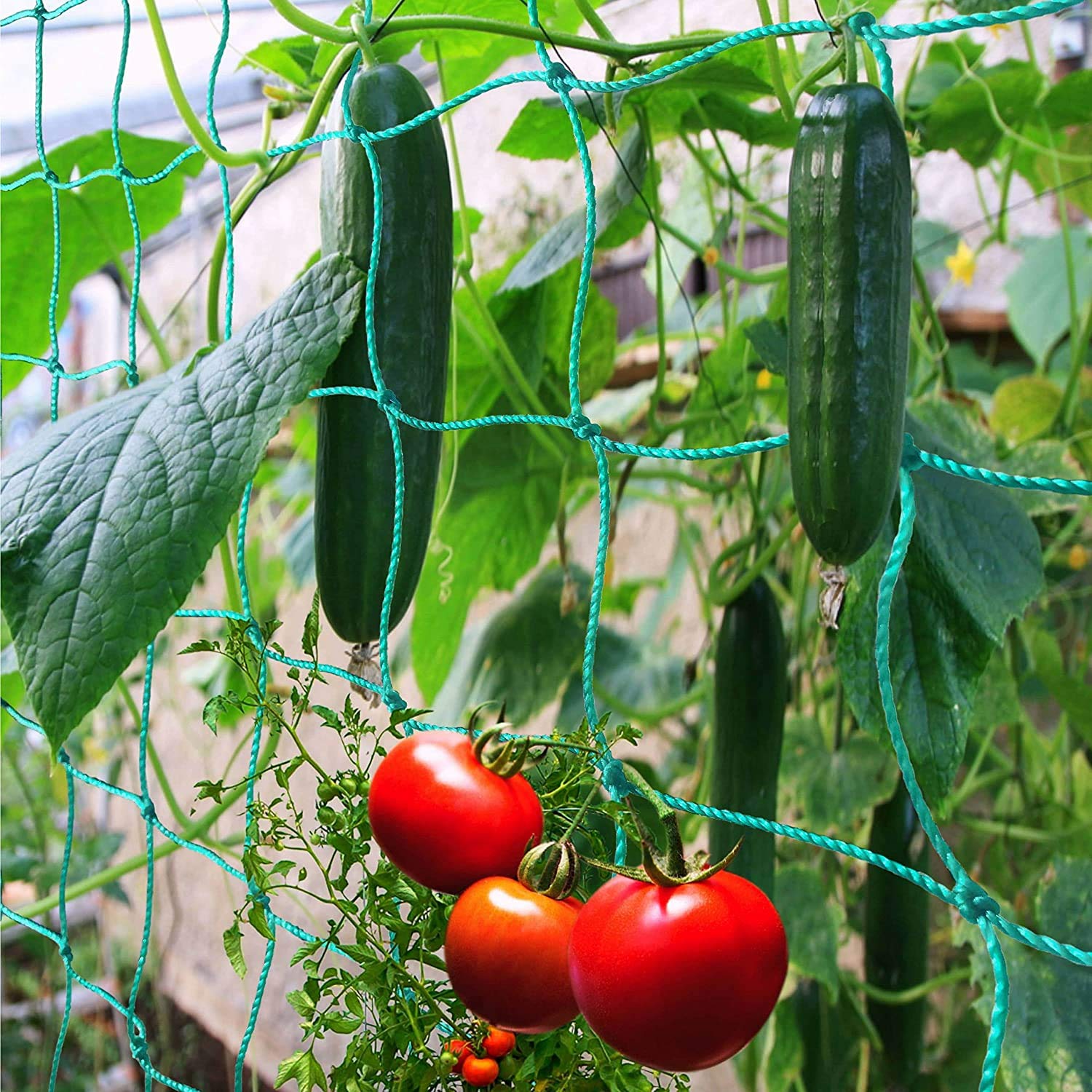 Garden Trellis Netting Heavy Duty For Climbing Plants, Cucumber, Vine, Fruits & Vegetables Tomato Plants Trellis Net, Climbing V