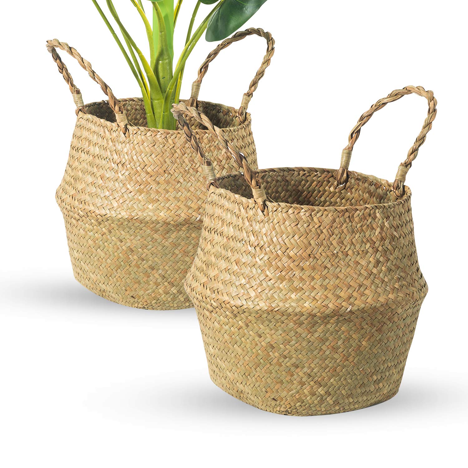 Brilliantjo Seagrass Belly Basket, Set Of 2 Woven Plant Pot Holder Handmade Home Decor For Storage Plants Picnic Grocery Medium(