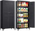 Metal Storage Cabinet with Doors and Shelves,Metal Pantry Cabinet,Black Craft Storage Cabinet,Ventilated Pantry Storage Cabinet,