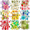 Mikiya 182Pcs Dried Pressed Flowers For Resin Molds, Assorted Real Natural Bulk Dry Floral Leaves For Diy Art Crafts, Epoxy Jewe