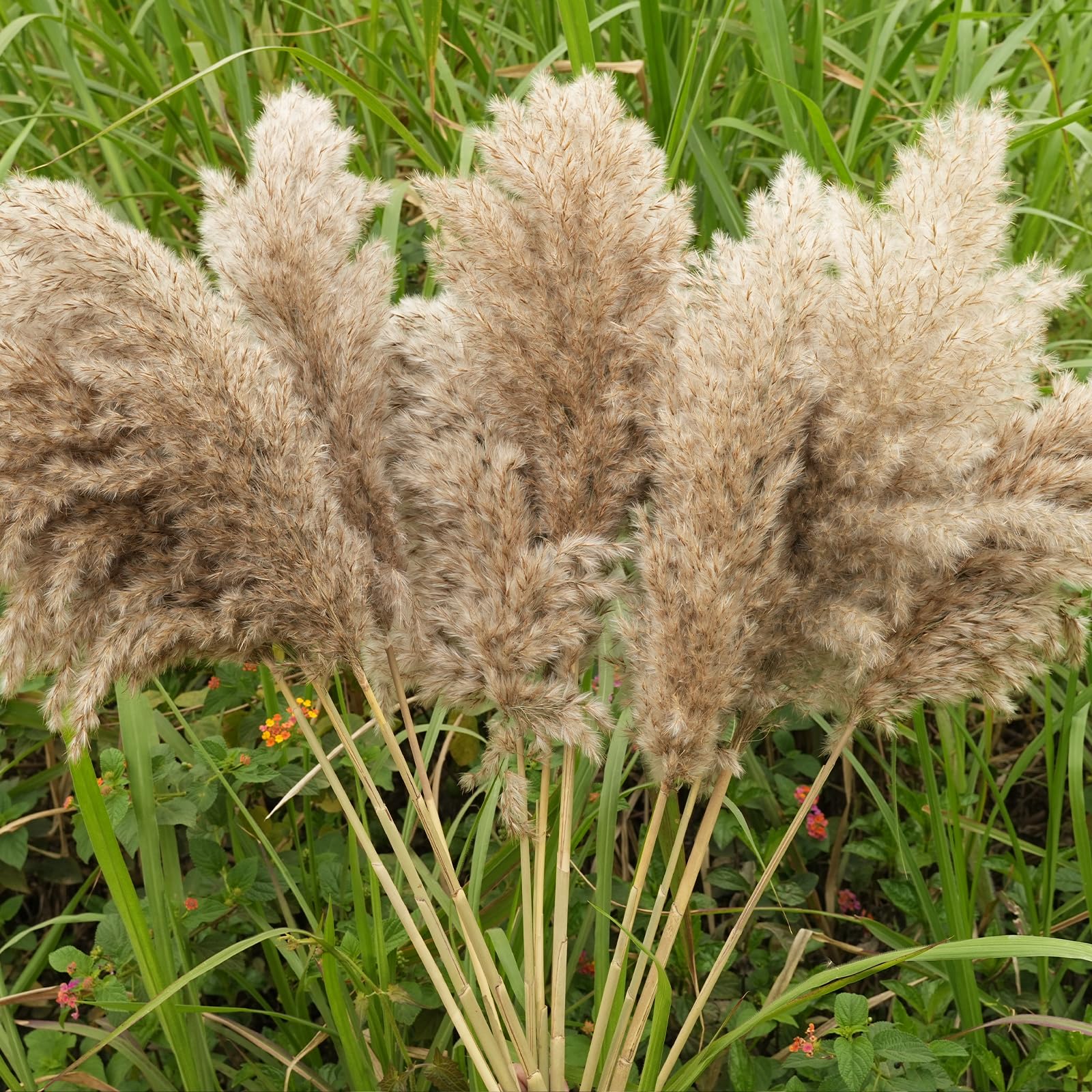 30-Inch Tall Nature Pampas Grass Bouquet Decor - Boho Flowers And Feathers For Centerpieces, Perfect For Tall Floor Vase Fillers