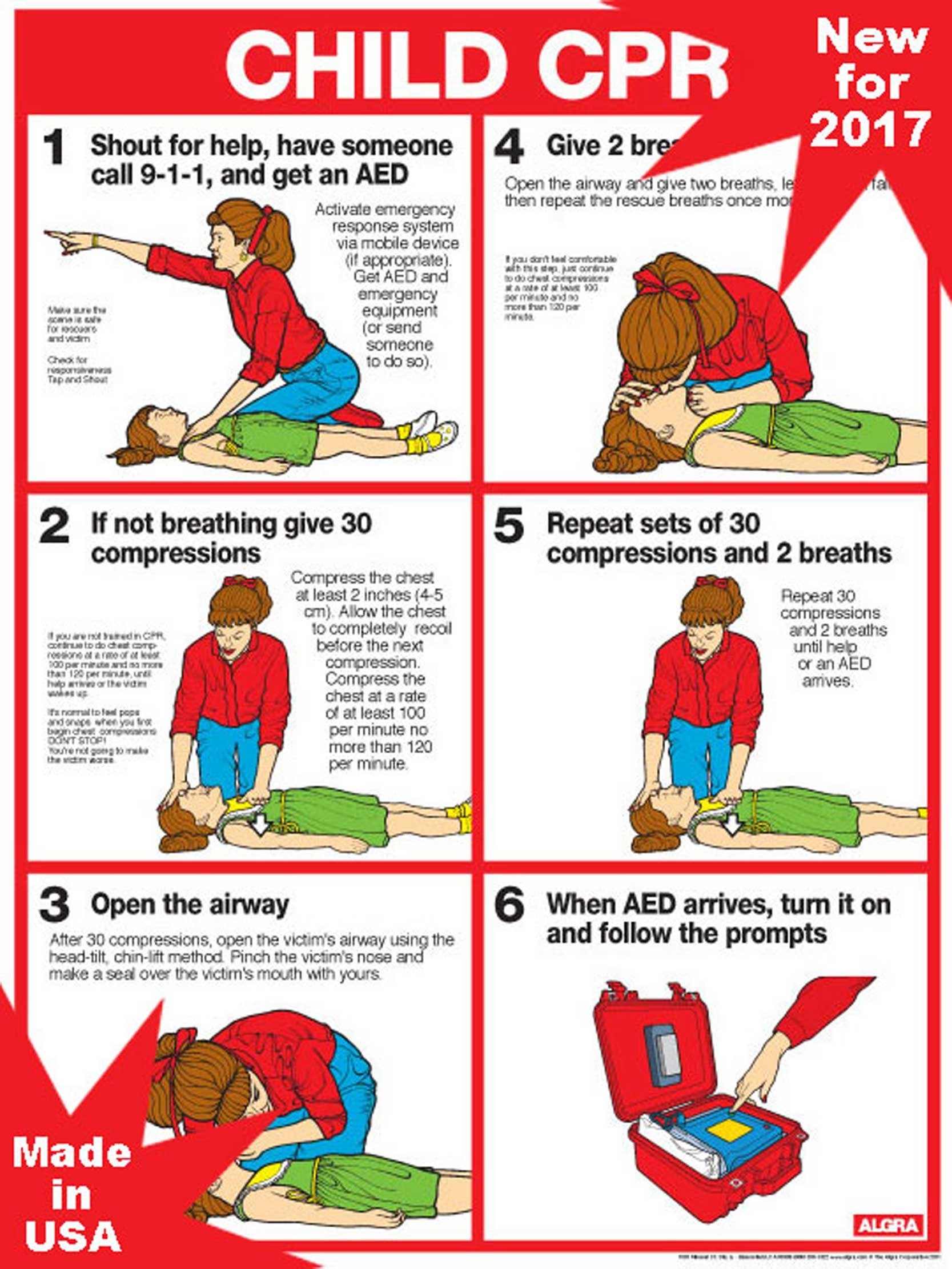 CPR for Children 18 X 24 Laminated Poster - 2011
