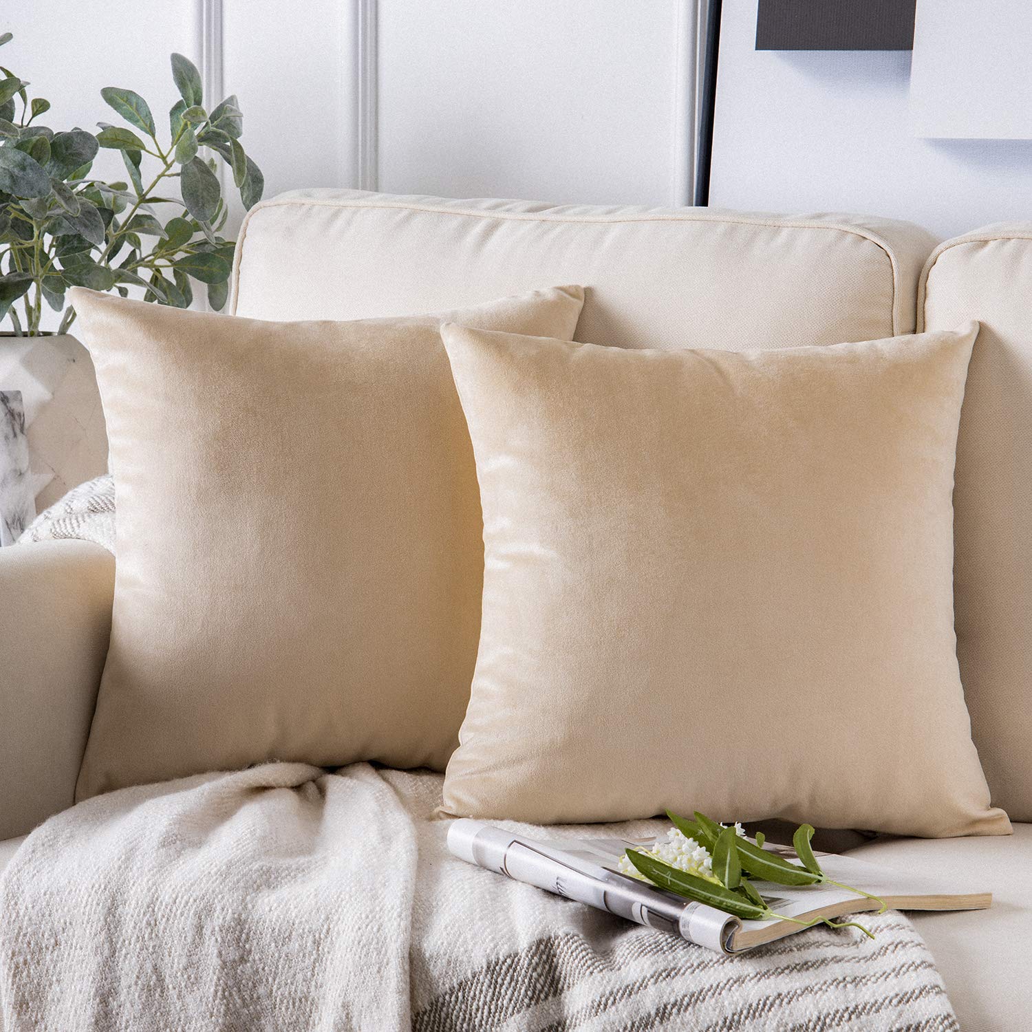 Phantoscope Pack Of 2 Velvet Decorative Throw Pillow Covers Soft Solid Square Cushion Case For Couch Beige 22 X 22 Inches 55 X 5