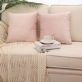 Mzpso Pack Of 2, Velvet Super Soft Solid Decorative Square Throw Pillow Covers Set Cushion Case For Sofa Bedroom Car 20 X 20 Inc