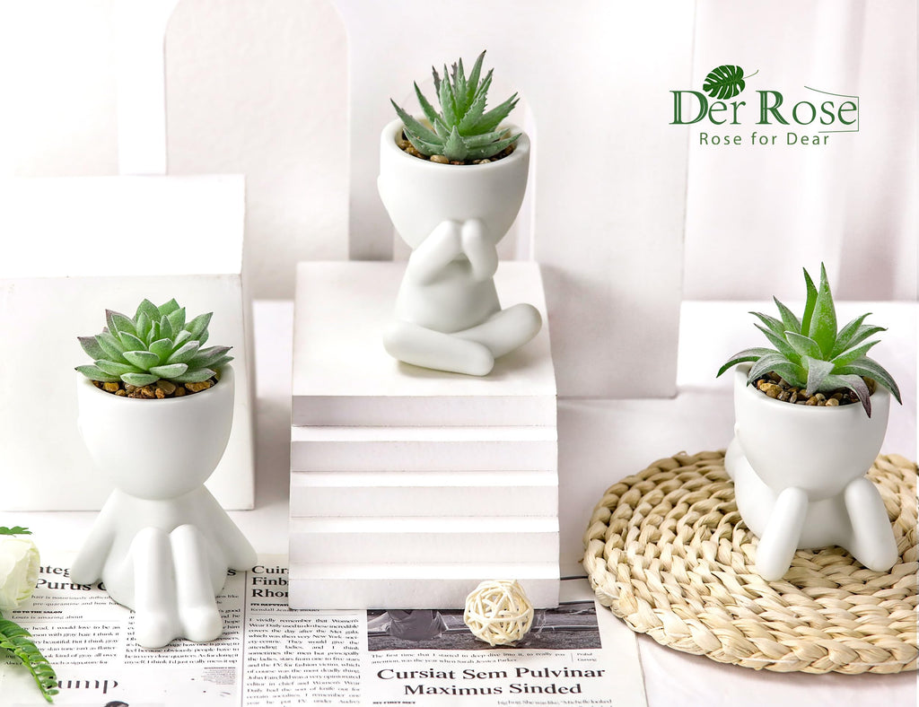 Der Rose 3Pcs Fake Succulents Plants Artificial For Bathroom Bedroom Home Room Decor Aesthetic Indoor