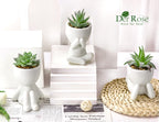Der Rose 3Pcs Fake Succulents Plants Artificial For Bathroom Bedroom Home Room Decor Aesthetic Indoor