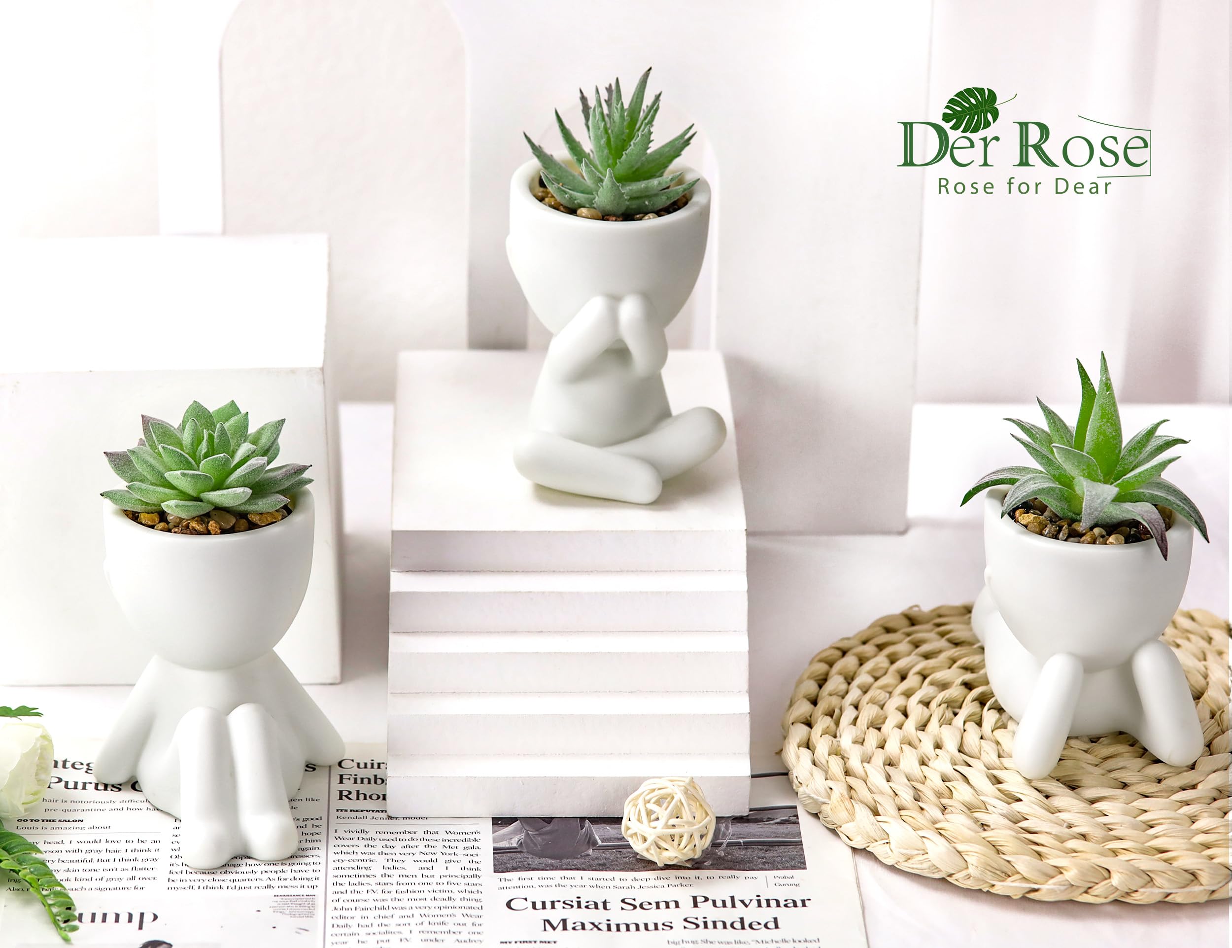 Der Rose 3Pcs Fake Succulents Plants Artificial For Bathroom Bedroom Home Room Decor Aesthetic Indoor