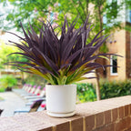 Phliofd 16Pcs Artificial Grass Fake Grass Plants 17.3In Outdoor Plants Uv Resistant Faux Greenery Stems For Home Window Garden P