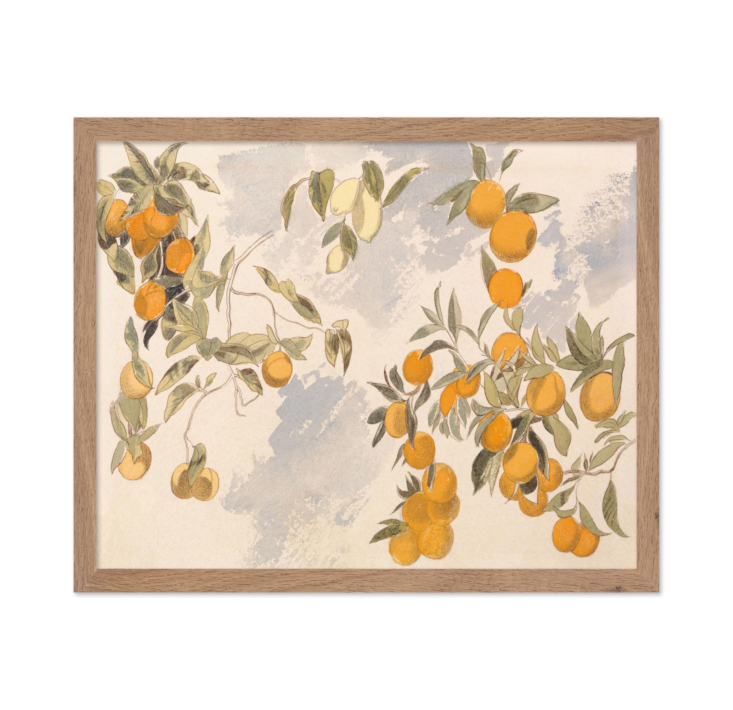 Poster Master Vintage Clementine Poster - Retro Watercolor Print - Gift for Artist, Friend - Orange, Lemon, Branch, Fruit Tree, 