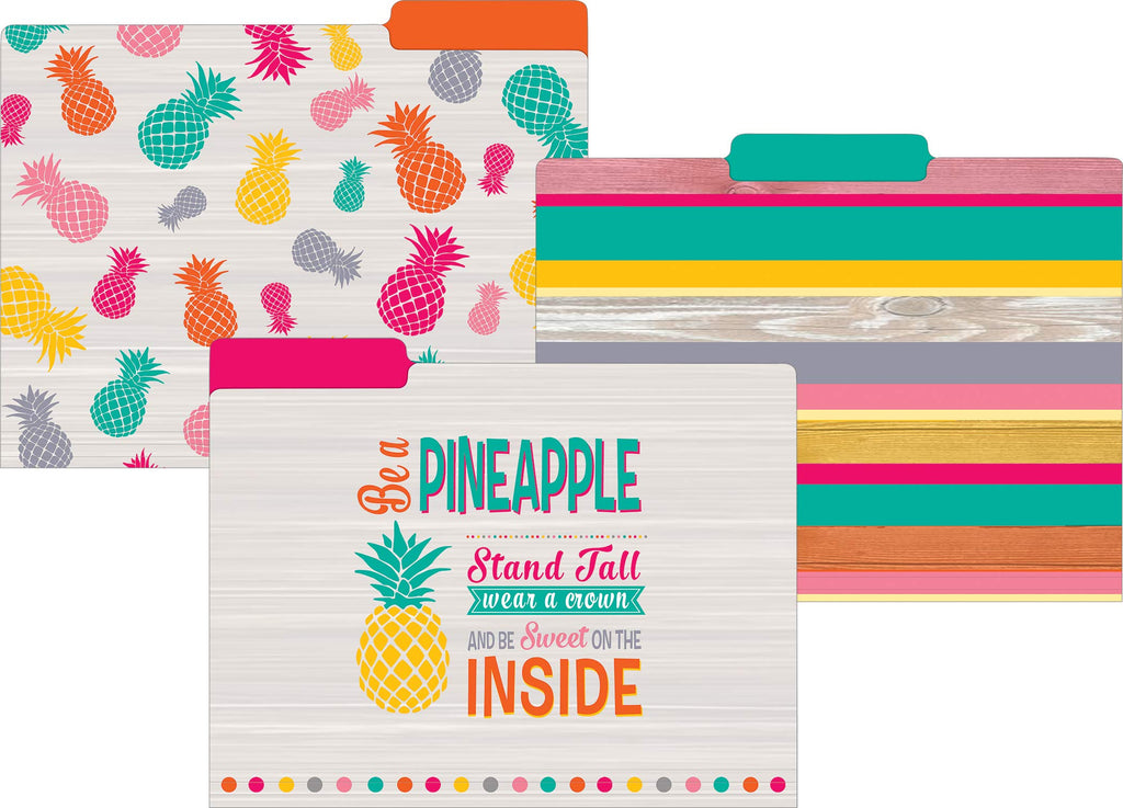 TROPICAL PUNCH FILE FOLDERS