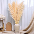 Sreed 40-Inch Cream Pampas Grass Decor Tall 10-Pcs Xxl Size Natural Boho Plants Decor Wedding Flowers