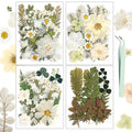 Resiners 100Pcs Dried Pressed Flowers for Resin Molds, White Real Natural Dried Flowers Dry Leaves kit for Wedding Scrapbook Sup