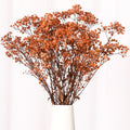 Babys Breath Dried Flowers Bouquet-17 1800+ Ivory Dry Flowers, Natural Gypsophila Branches for Wedding, Home Table Vase Decor,