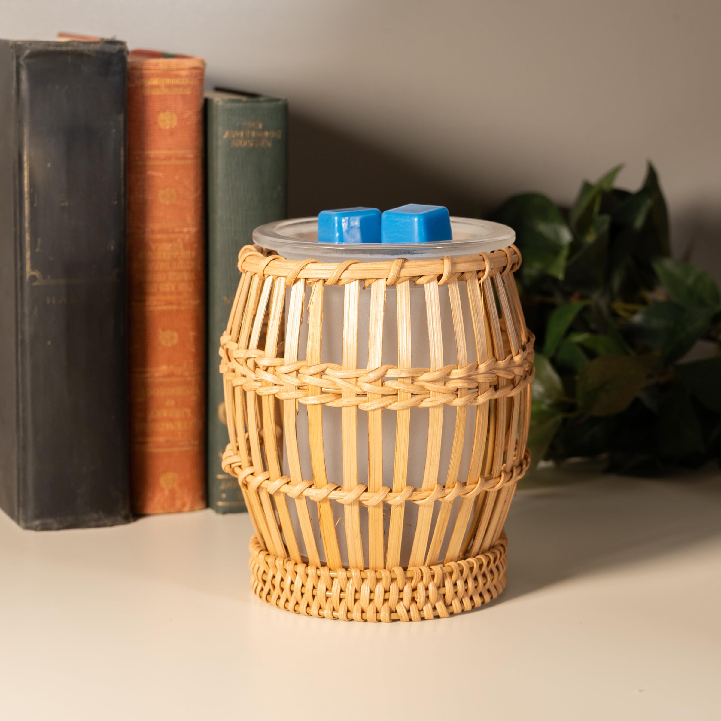 Scentsationals Wax Warmer, Scented Wax Cube Melter, Flower Electric Fragrance Burner, Wickless Candle Air Freshener, Full Size H