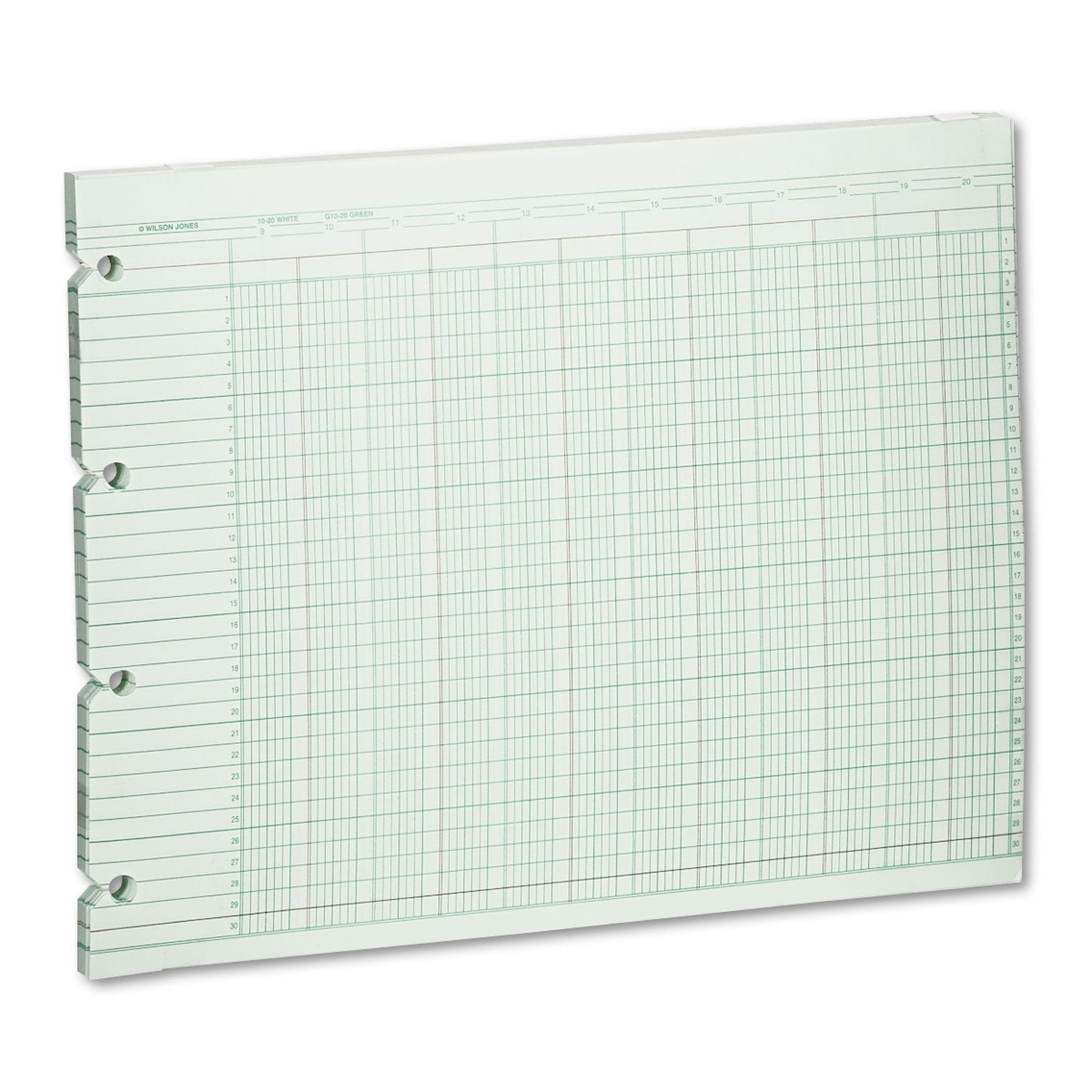 Wilson Jones G1020 Accounting Sheets, 20 Column, 9-1/4 X 11-7/8, Green (Pack Of 100 Loose Sheets)