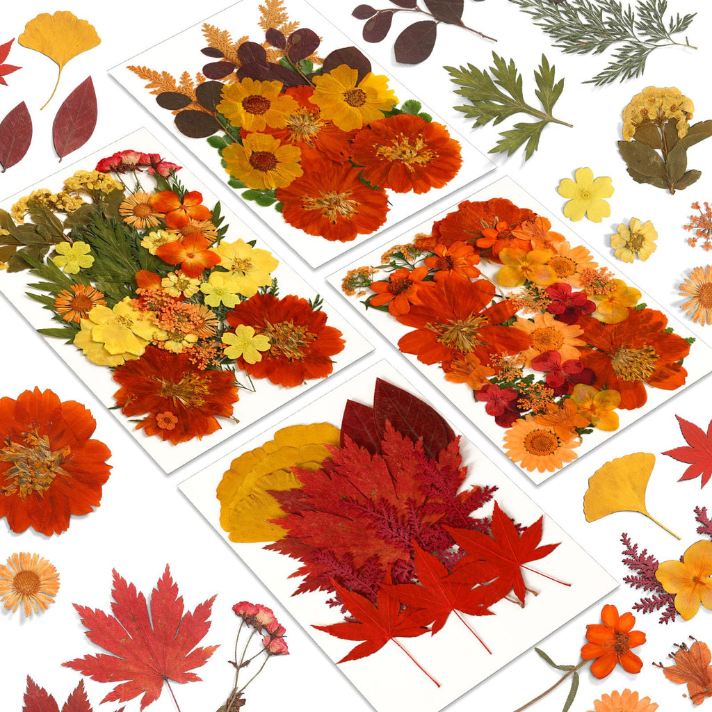 Augshy Fall Dried Pressed Flowers,100 Pcs Autumn Dried Flowers Leaves for Resin Molds Real Pressed Flowers for Crafts DIY Jewelr
