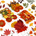 Augshy Fall Dried Pressed Flowers,100 Pcs Autumn Dried Flowers Leaves for Resin Molds Real Pressed Flowers for Crafts DIY Jewelr