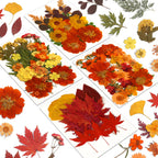 Augshy Fall Dried Pressed Flowers,100 Pcs Autumn Dried Flowers Leaves for Resin Molds Real Pressed Flowers for Crafts DIY Jewelr