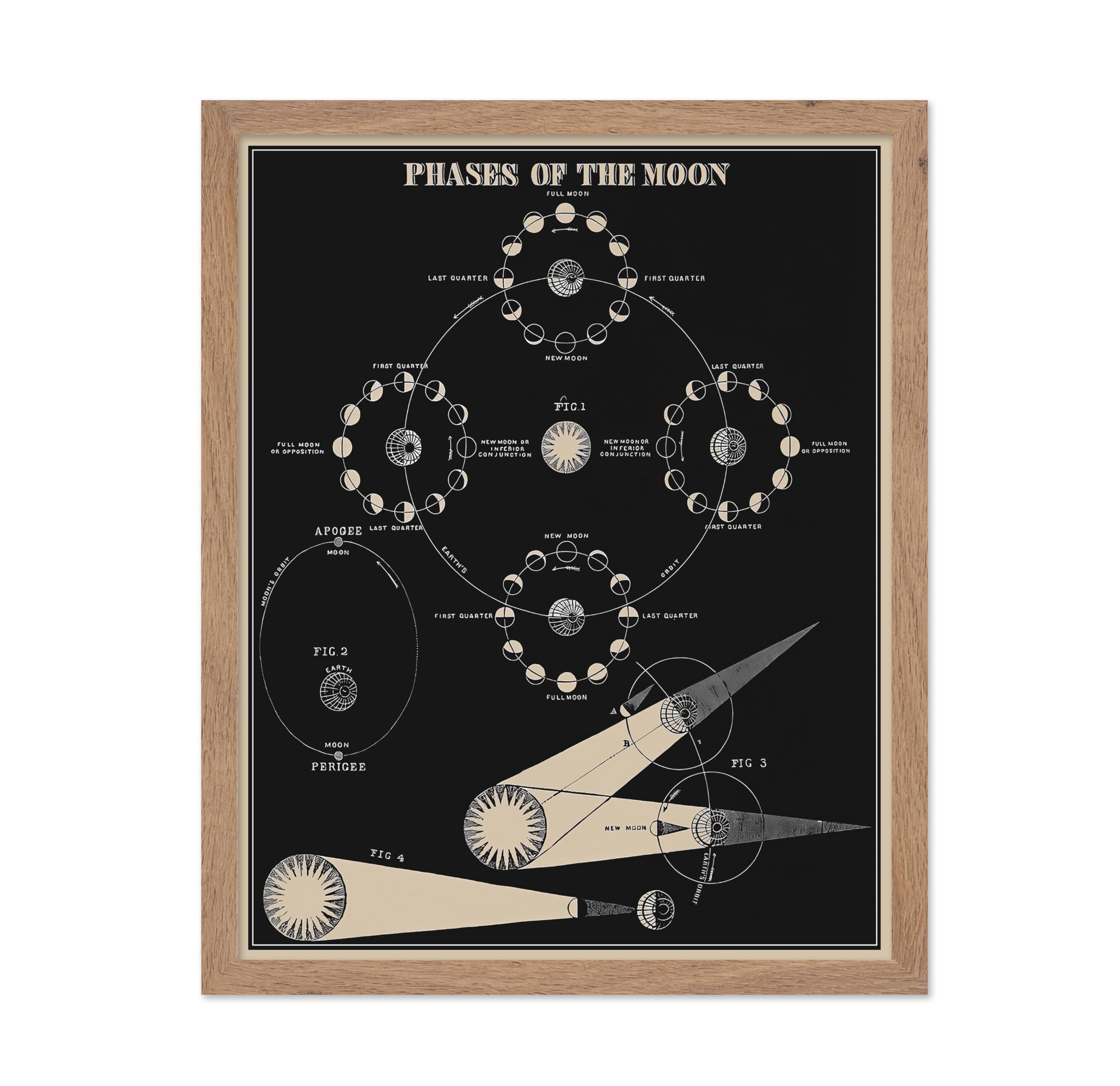 Poster Master Astronomy Moon Phases Wall Art Print - Lunar Home Decor, Astrological Room Decoration Poster, Gift for Planetary A