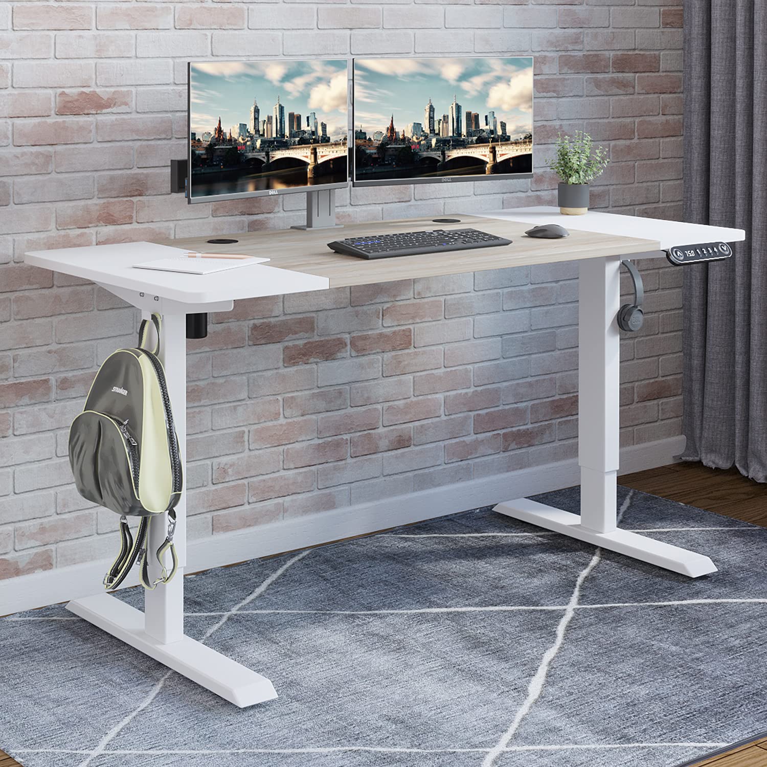 Radlove Electric Height Adjustable Standing Desk, 55 x 24 Inches Stand Up Workstation, Splice Board Home Office Computer Table E